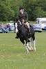thornton-le-dale-gala showclass7acharity25-5-20173